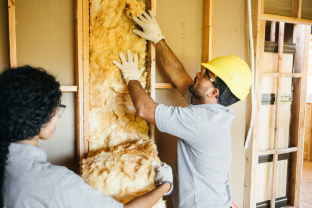 Best Attic Insulation Installation  in Athens, PA